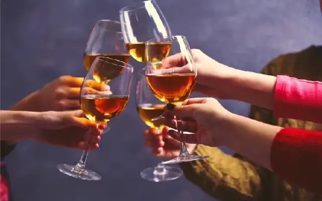 Raise a Glass at WineFest 2024 in Mangaluru by Shoolin Palace - News Karnataka