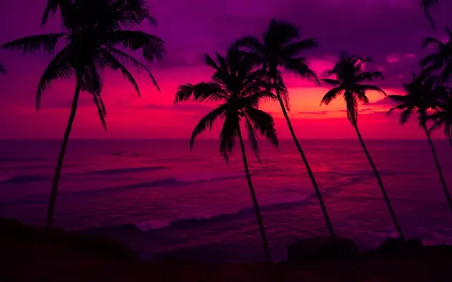 Coconut Plantations Driving Deforestation on Pacific Atolls - News Karnataka