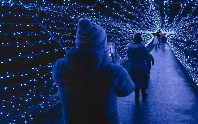 Couple in Scotland decorates home with light show to raise Christmas funds - News Karnataka