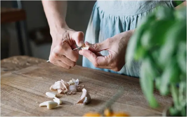 Start-up sparks debate on training maids and cooks for high-protein meal - News Karnataka