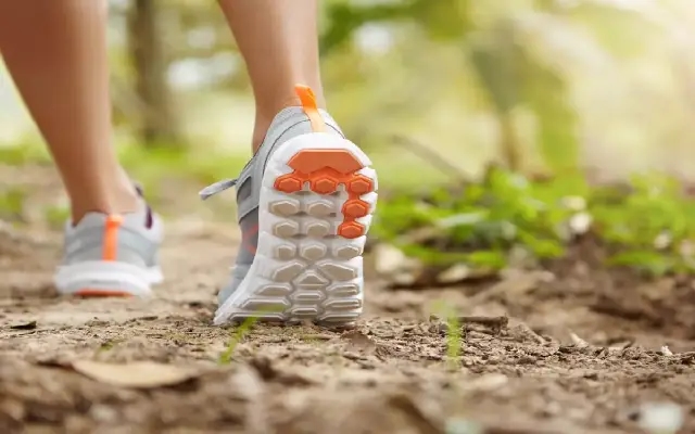 Winter morning walks: Risks for respiratory health and safety tips - News Karnataka