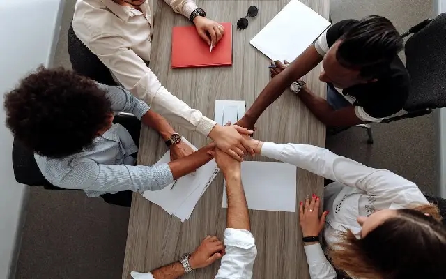 Building strong teams: the secret ingredient for startup success - News Karnataka