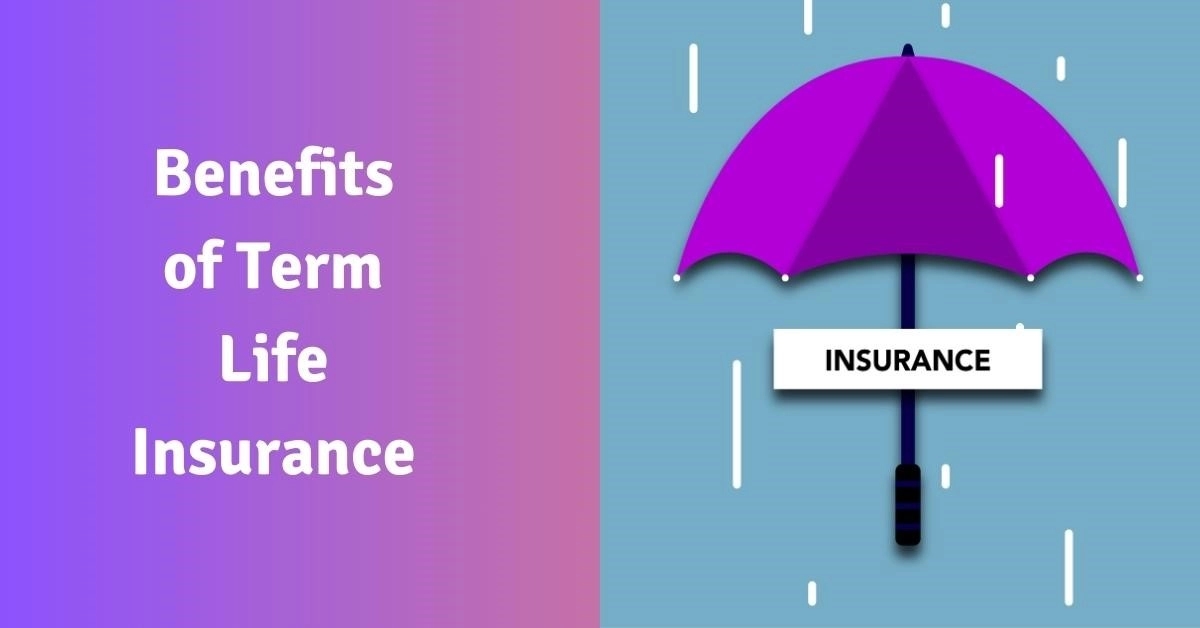 What is Term Life Insurance? Understanding Its Benefits and Limitations - News Karnataka