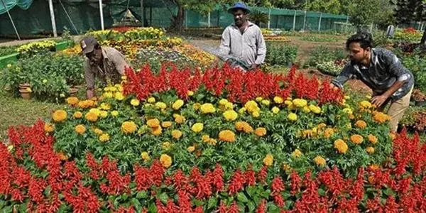 Kadri Park to host grand fruit and flower exhibition from January 23-26 - News Karnataka