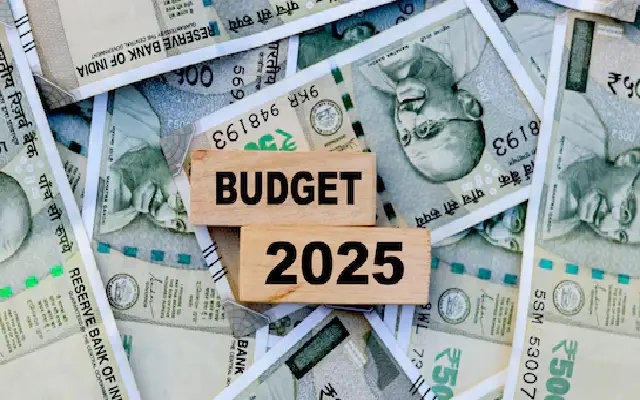 Budget 2025: Big Expectations, Bland Execution - News Karnataka