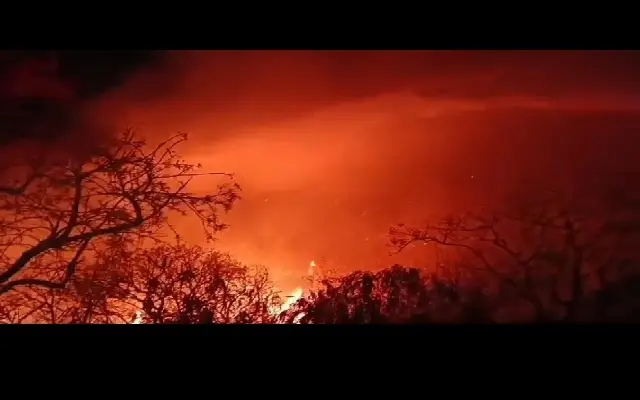 Fog Halts Blaze at Chamundi Hill, But Fear of Rekindling Remains - News Karnataka