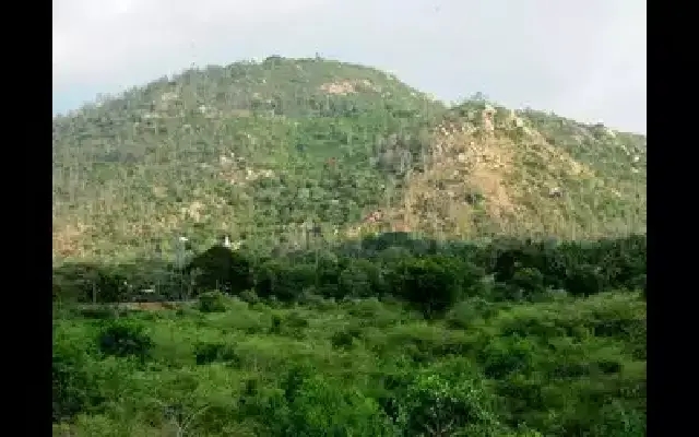 Mysuru: Chamundi Hills Clean-Up Drive Inspires Civic Responsibility - News Karnataka