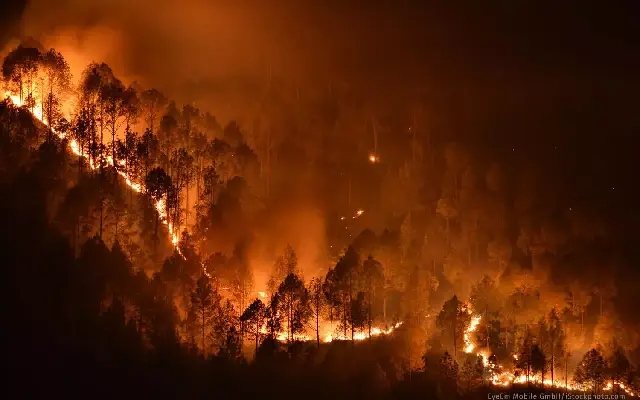 Fire breaks Out Near NH-66 Sparks Panic in Udupi - News Karnataka