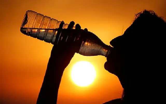 Kodagu Faces Unprecedented Heatwave, Water Crisis Looms - News Karnataka