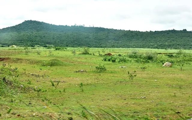Mysuru Film City: A 45-Year Wait May Finally See the Silver Screen - News Karnataka