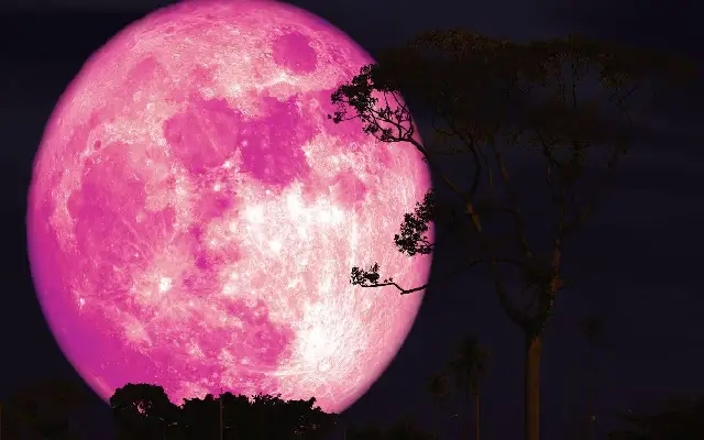 Catch the Pink Moon Tonight: A Springtime Celestial Treat - News Karnataka