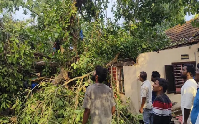 Storm Chaos in Udupi: Gusty Winds, Rainfall Leave Trail of Destruction - News Karnataka