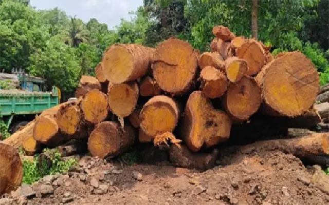 Forest Officials Seize Goods Worth Over ₹33 Lakh in Belthangady - News Karnataka