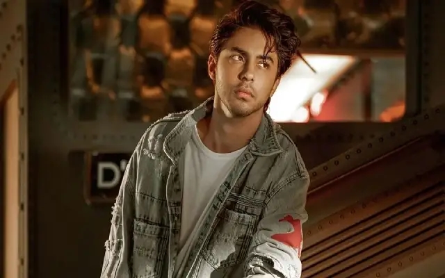 Aryan Khan’s Directorial Debut Wins Praise from Netflix CEO, Karan Johar - News Karnataka