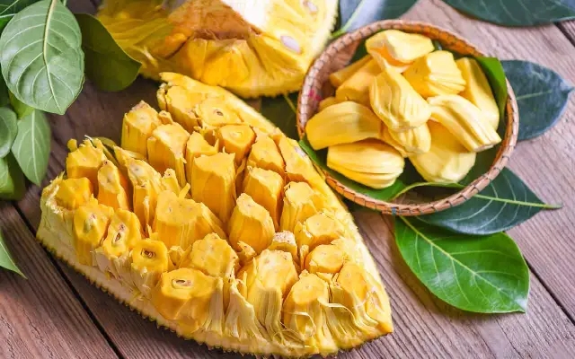 Mysuru to Host Colourful Jackfruit Fest on May 3–4 - News Karnataka