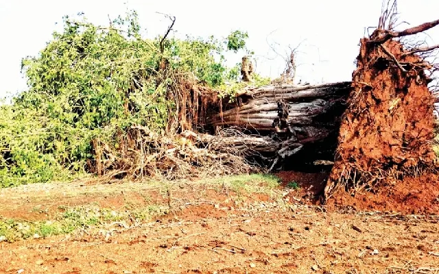 Fury of Rain Brings Relief and Ruin in Mysuru - News Karnataka