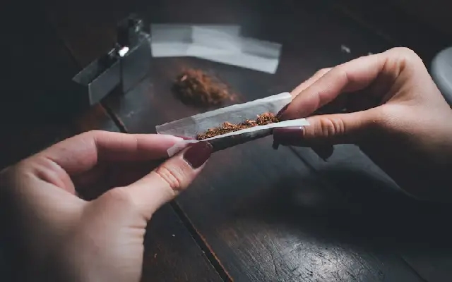 Udupi Cracks Down on Tobacco Sales Near Schools: 12 Shops Lose Licences - News Karnataka