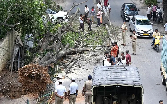 Tree Trouble at Bengaluru Shivananda Circle: Two Injured in Sudden Collapse - News Karnataka
