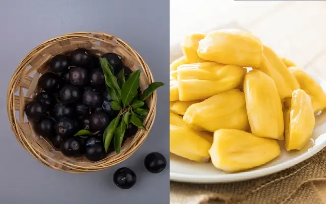 Native Summer Fruits Surge in Mangaluru Markets Amid Soaring Prices, Demand - News Karnataka