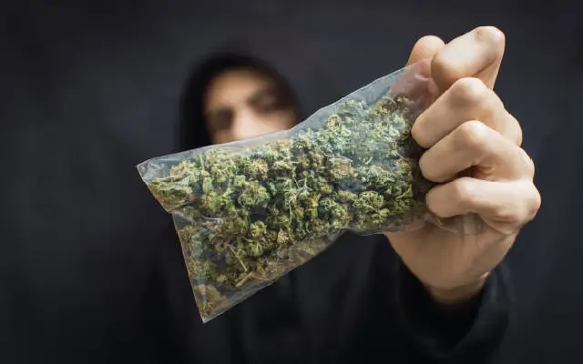 "Three Held in Hebri for Ganja Sale, Cricket Betting Racket" - News Karnataka