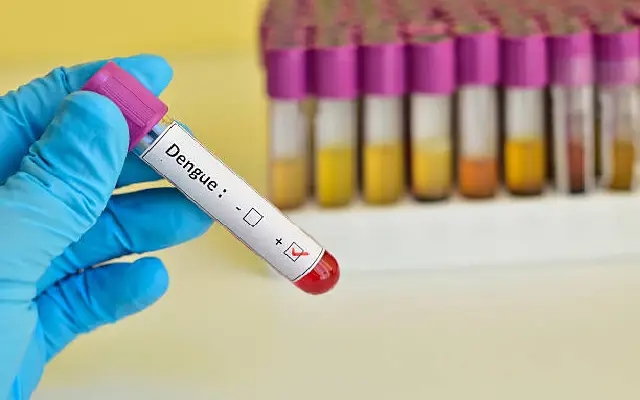 Rising Dengue Risk as Monsoon Hits Dakshina Kannada - News Karnataka