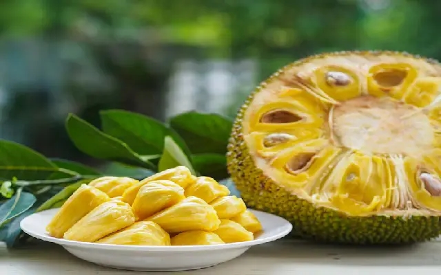 Mangaluru: Kudla Pelakai Parba Set to Celebrate Jackfruit & Local Farming Spirit - News Karnataka
