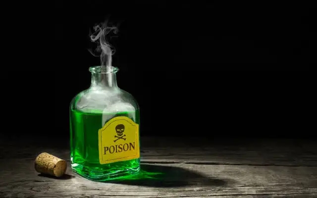 Just 36 Days After Marriage, Woman Allegedly Poisons Husband in Garhwa - News Karnataka