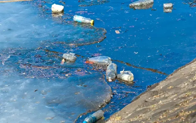Udupi Residents Demand Action as Meat Shop Waste Pollutes Society Premises - News Karnataka