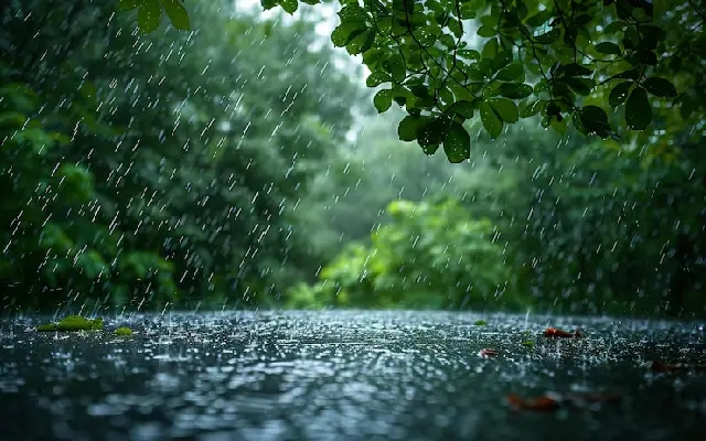 Orange Alert Issued as Heavy Rains Lash Coastal DK & Udupi - News Karnataka