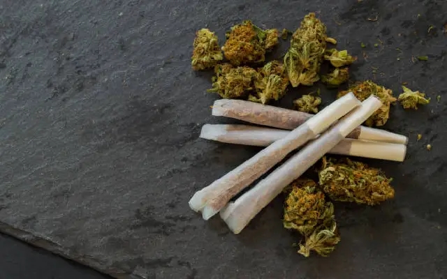 Major Drug Bust in Mangaluru: Five Nabbed with 5.7 Kg Ganja - News Karnataka