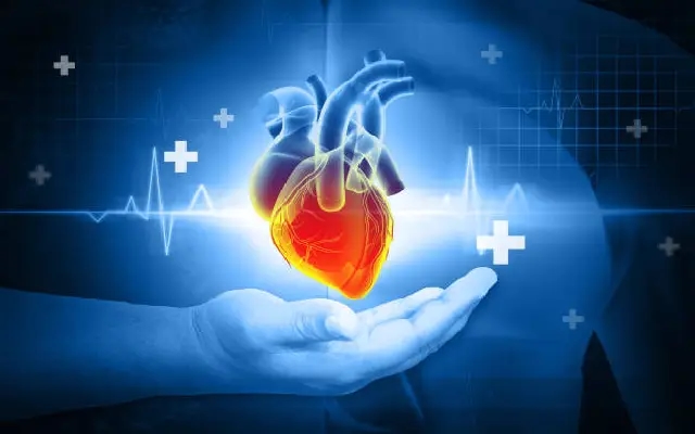 Heart Health Awareness Surges in Udupi; Rural ECG Screenings on the Rise - News Karnataka