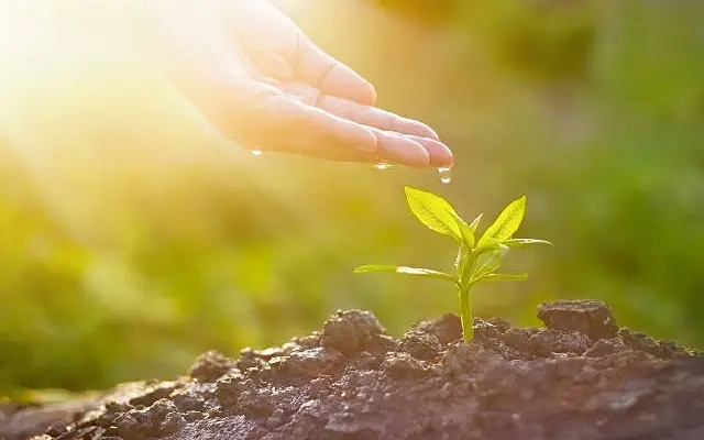 Two-Year Tree Plantation Contest Announced for Educators in Coastal Karnataka - News Karnataka