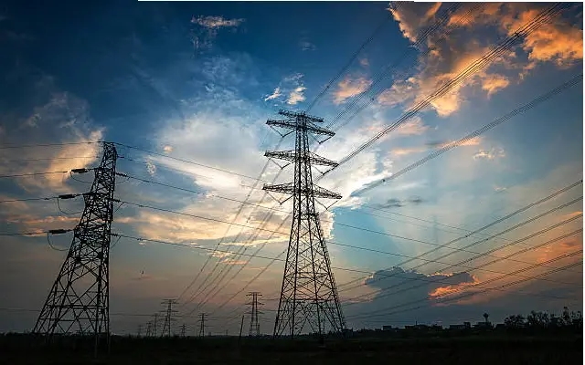 Farmers, Forests at Risk: Padubidri–Kasargod Power Line Sparks Fresh Green Row - News Karnataka