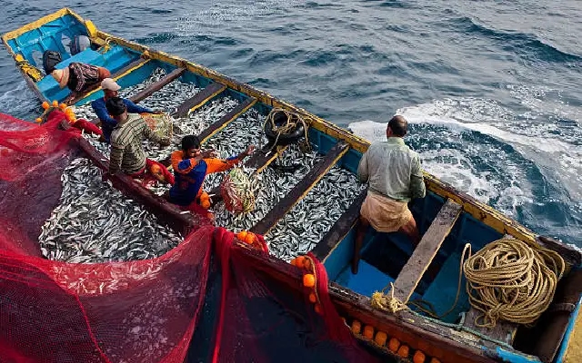 Mangaluru Harbour Buzzes as Fishermen Return Post-Monsoon - News Karnataka