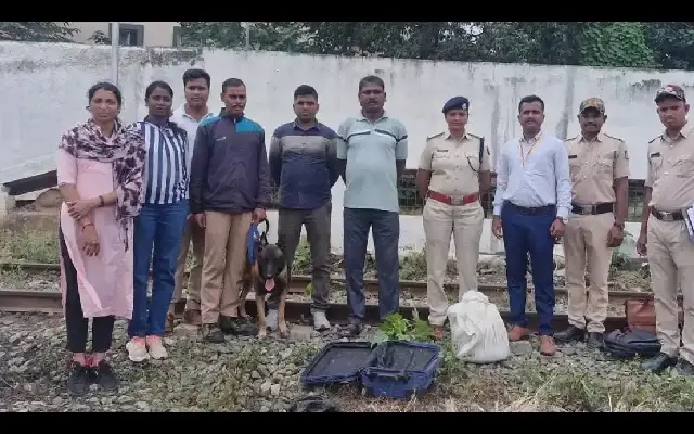 RPF seizes 5.22 kg ganja worth ₹4 lakh at Bengaluru Cantonment Station - News Karnataka