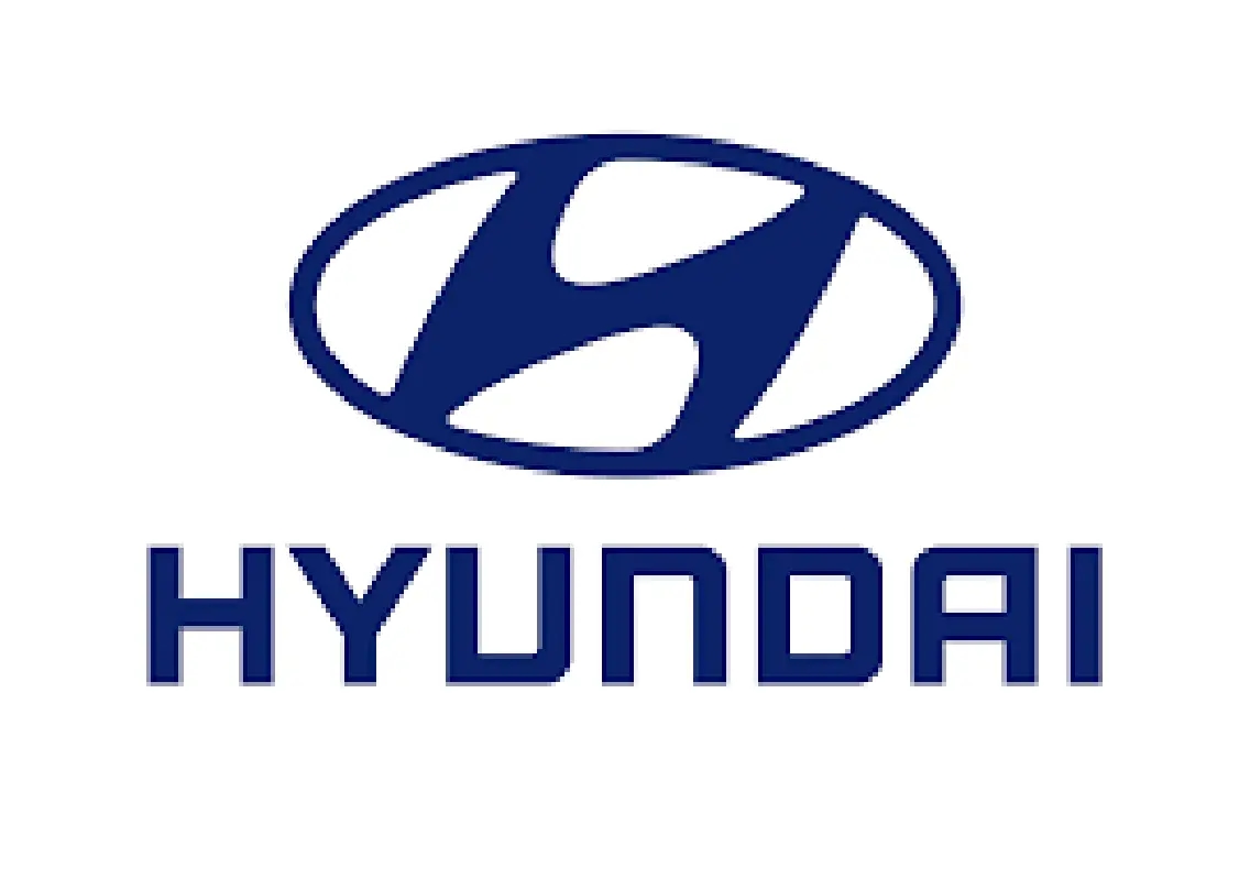 Hyundai raid: How a month-long operation led US immigration to Georgia plant - News Karnataka