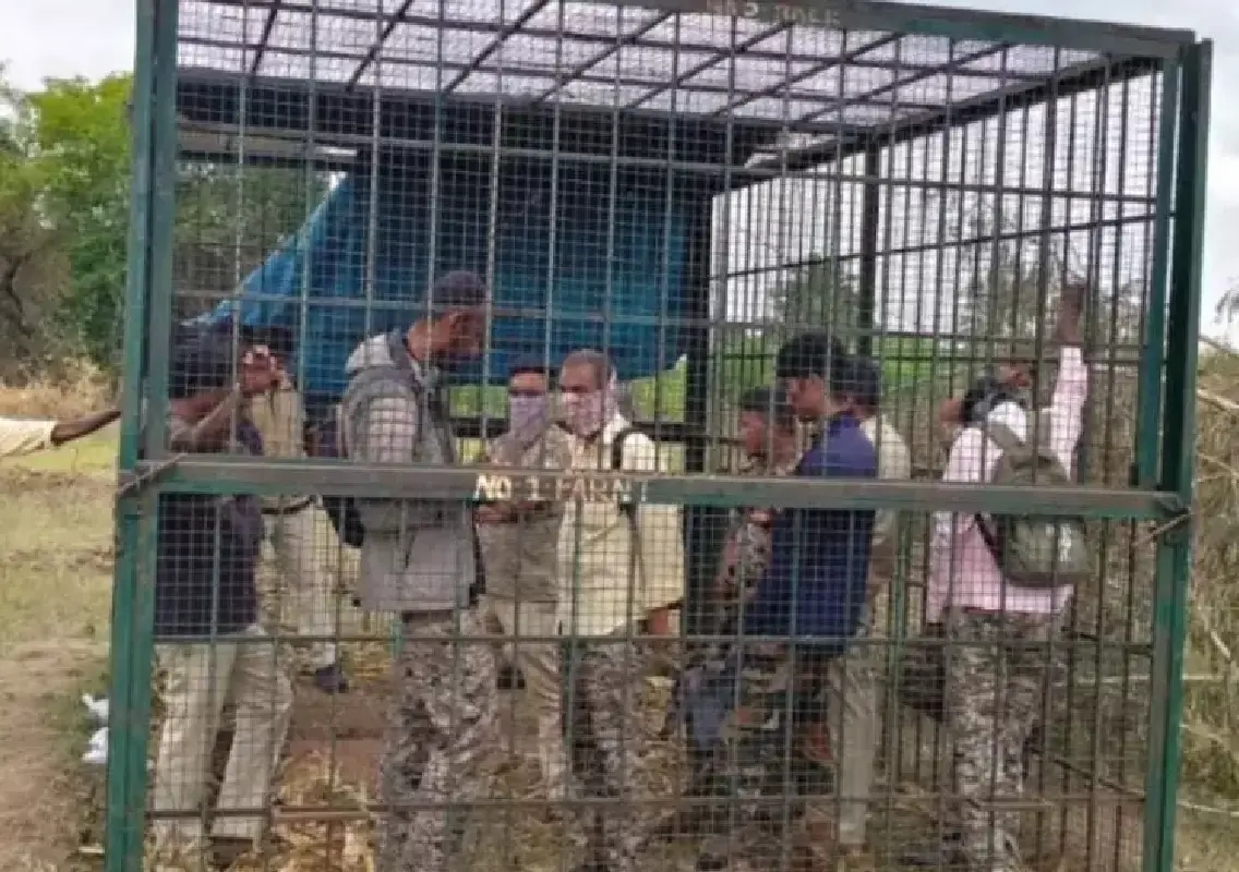 Villagers lock forest staff inside tiger trap cage in Chamarajanagar - News Karnataka
