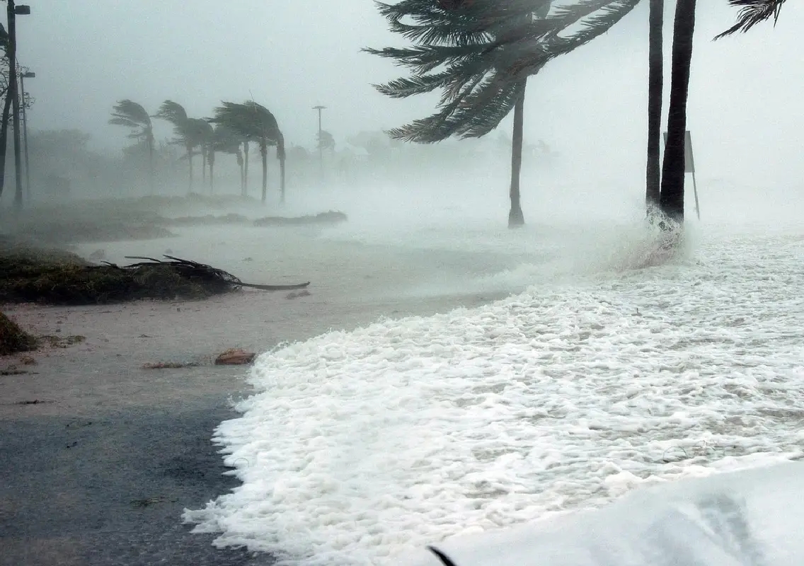 Hong Kong braces as Tropical Storm Tapah brushes past - News Karnataka