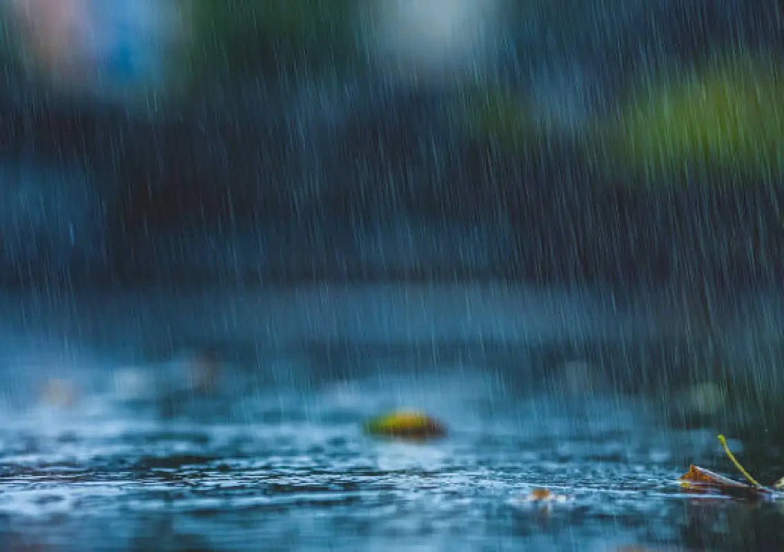 Low-pressure system brings heavy rain to coastal Karnataka - News Karnataka