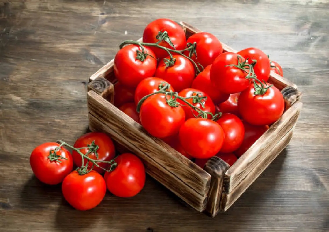 Tomato prices soar to ₹90 in Bengaluru as rains hit supply - News Karnataka