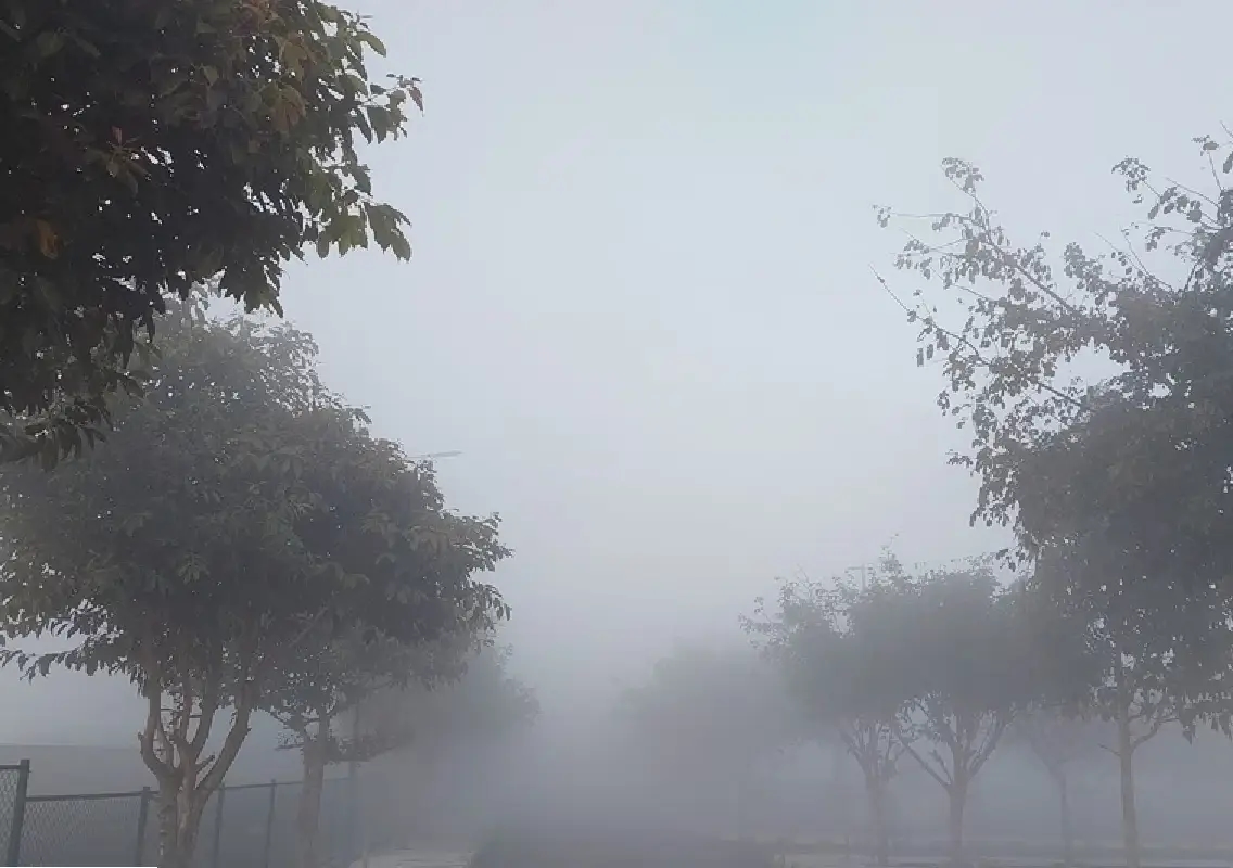 Fog blankets Bengaluru as humidity soars past 90% on Sunday morning - News Karnataka