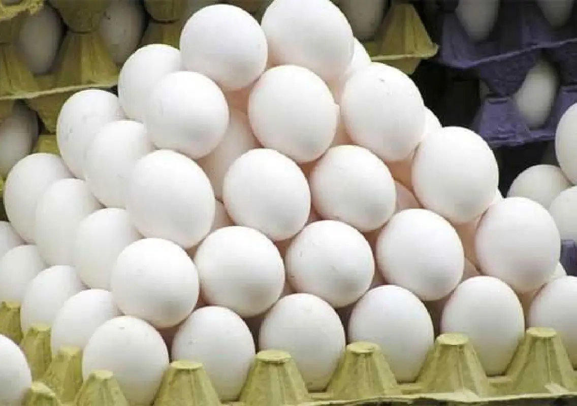 Karnataka poultry farmers question steep rise in Goa’s egg prices - News Karnataka