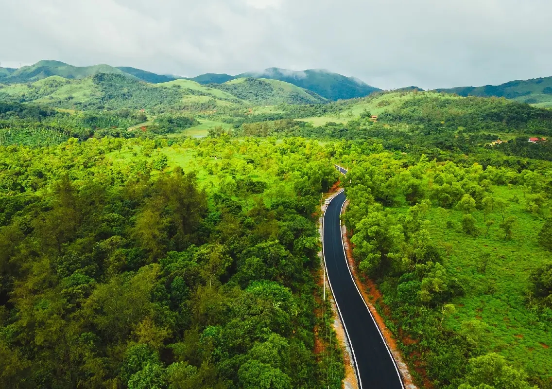 Forest department files complaint over alleged attempt to grab 512 acres in Mudigere - News Karnataka