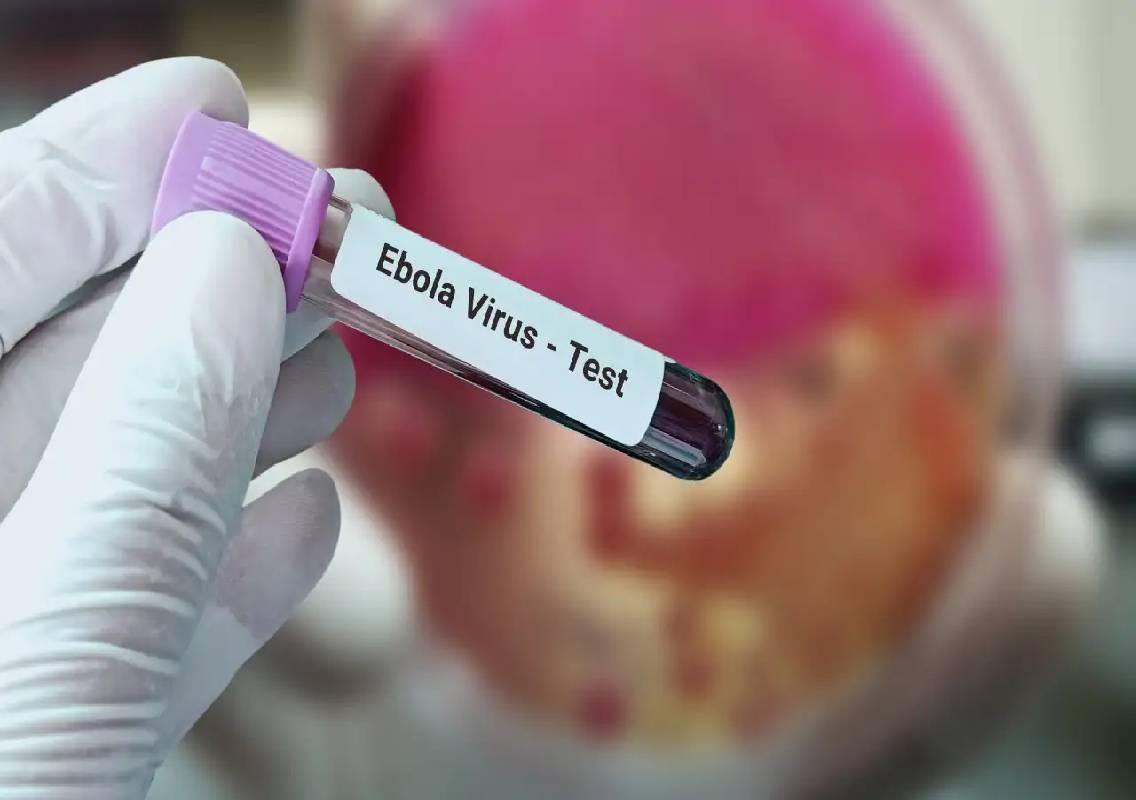 Rajasthan Reports Suspected Ebola Case In Jaipur - News Karnataka