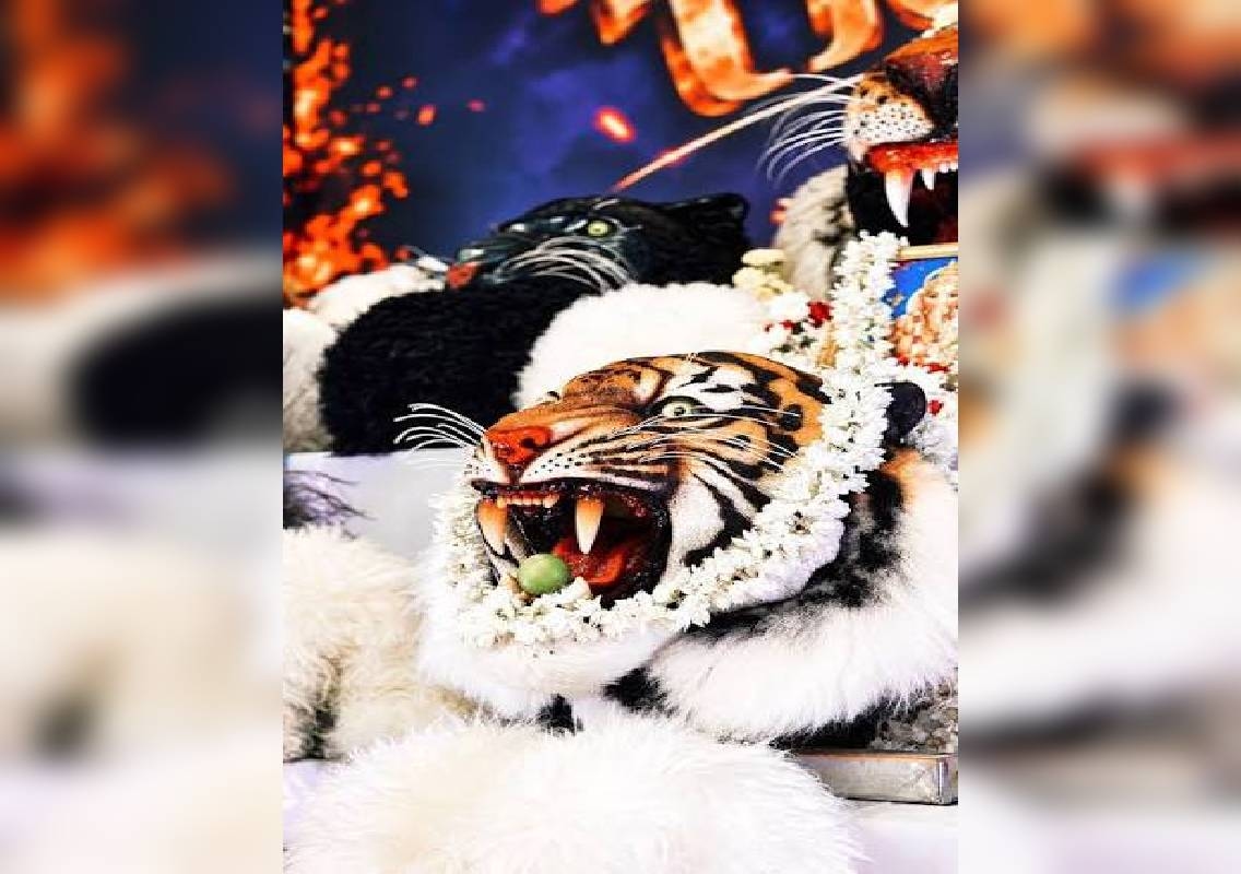 Mangaluru Dasara: Avatar Tigers Holds Fifth Oodu Pooja - News Karnataka
