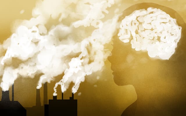 National Clean Air Month: Brain Health & Air Pollution Link