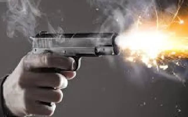 Bidar Police Open Fire on Escaping Rowdy Sheeter, Injure Suspect