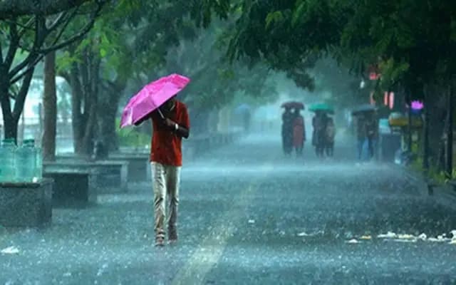 Monsoon Makes Early Move: Kerala to See Rain by May 31 
