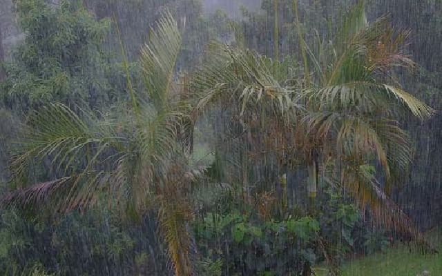 IMD Issues Red Alert for Heatwave & Orange Alert for Rain
