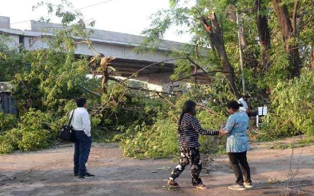 Delhi: Two men die on bike as tree falls on them in Hiranki